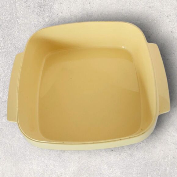 Vintage 1960s Thermo-Serv Insulated Casserole Server Tropical Scene MCM Serving - Picture 7 of 15